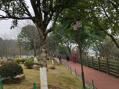 -铁山坪森林公园