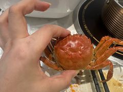 -半岛听涛蒸汽海鲜自助(K11店)