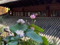 -宝通禅寺