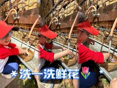 -九善农植有机生活农场