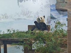 -无锡动物园·太湖欢乐园