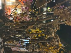 -山涧肴·泉水煮活鱼(坂田店)