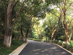 -龟山风景区-龟山电视塔