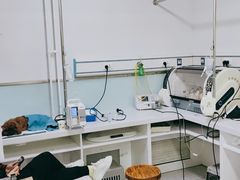 -达爱动物医院·犬猫分区·CT·复杂眼科(远洋山水分院)