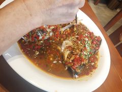 -杨厨的田园饭店(长城路店)