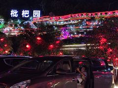 -枇杷园食为鲜火锅(南山店)