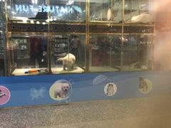 -乐宠宠物店(世纪金源店)