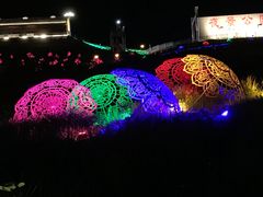 -密云玫瑰情园