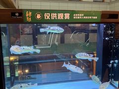 -肆月河豚·淮扬菜·湘菜(华天店)