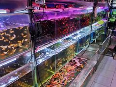 -双季花艺园艺市场(浦东店)