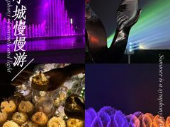 -东港音乐喷泉广场