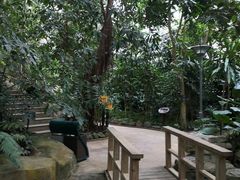 -南山植物园