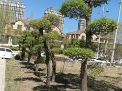 -群力丁香公园