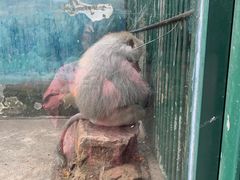 -无锡动物园·太湖欢乐园