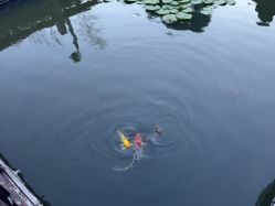 -安琪朵朵独栋花园月子中心