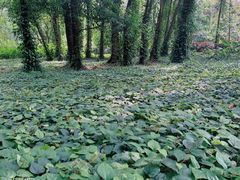 -华南国家植物园-售票处