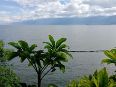 -南诏风情岛
