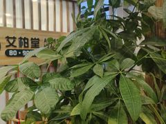 -艾柏堂8090经络·艾灸养生(御庭府邸店)
