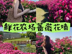 -栖露营camping·天幕烧烤·团建拓展·采摘营地