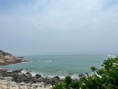 -广东惠东海龟国家级自然保护区