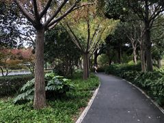 -新江湾城公园