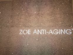 -紫御国际抗衰ZOE ANTI AGING
