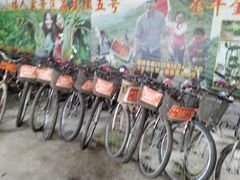 -荔枝红五号农庄