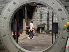 -碧江金楼