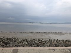 -深圳湾公园(南山区)