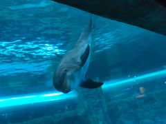 -波塞冬旅游度假区