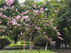 -沙河三洞古桥公园