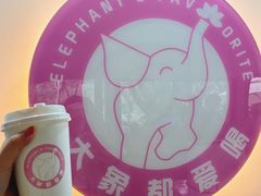 -野象谷景区