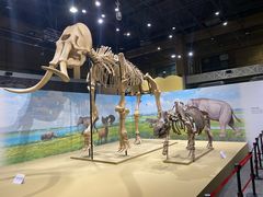 -国家自然博物馆