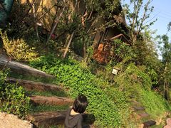 -杭州开元森泊度假乐园