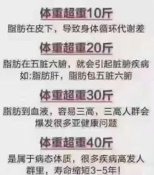 -香薇妮丝·定制减肥·身材管理