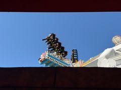 -杭州乐园