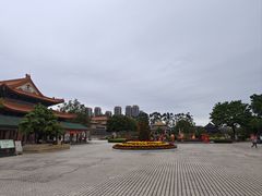 -广东圆玄道观