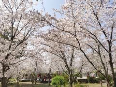 -广富林郊野公园