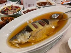 酒香鲥鱼-顺风海鲜港(长寿路店)
