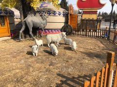 -大汗行宫园林餐厅