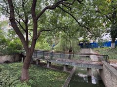 -月湖风景区