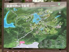 -深圳仙湖植物园