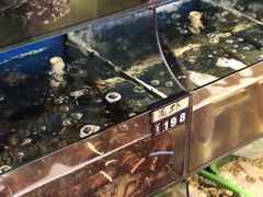 -渔中舟海鲜大排档(普陀沈家门店)