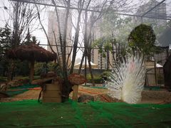 -陕西自然博物馆