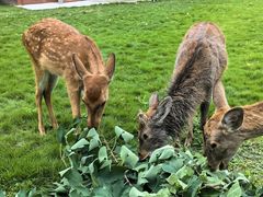 -上海交通大学(闵行校区)