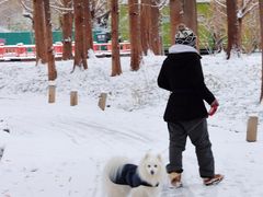 -银树楼(紫玉山庄东区店)