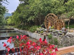 -广州白江湖森林公园