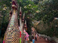 -清迈夜间动物园