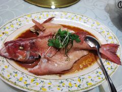 清蒸东星斑-无名居(西直门总店)