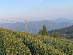 -东白山